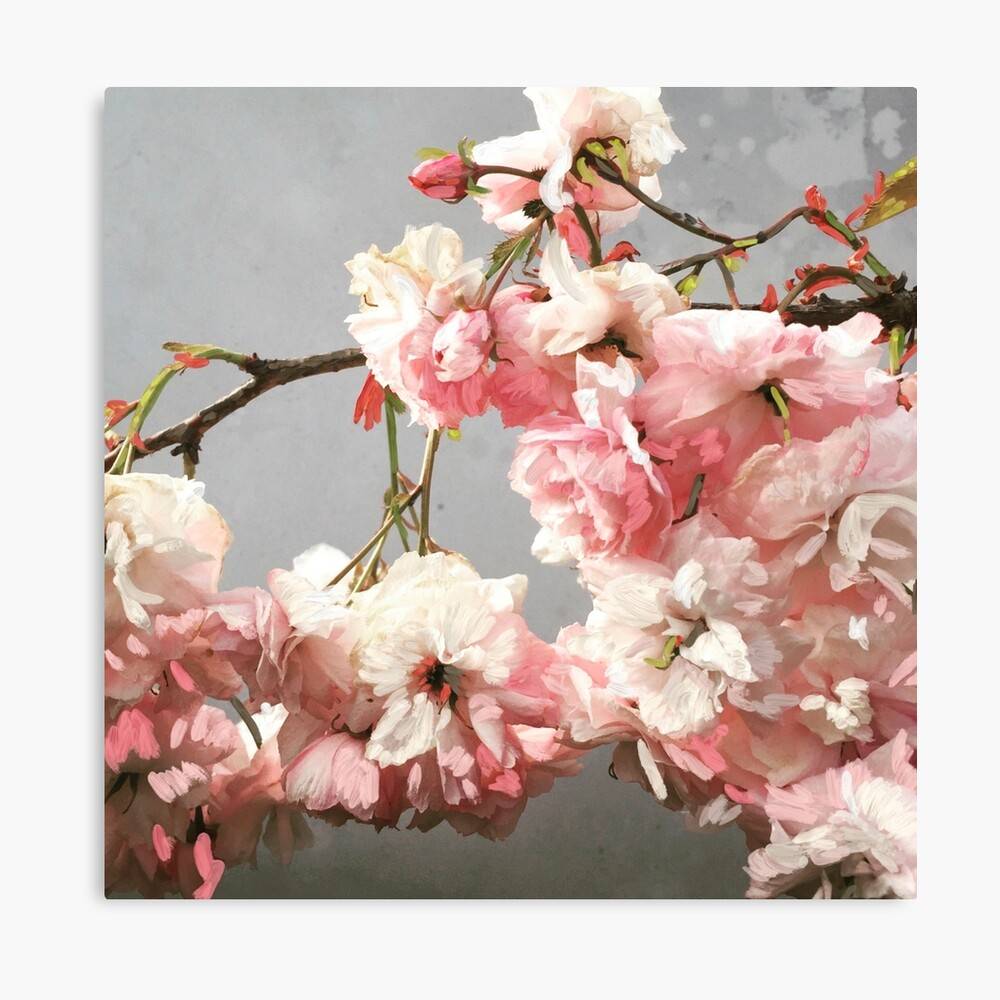 Cherry Blossom I Japanese Blossom Spring Blossom – Poster - Canvas ...