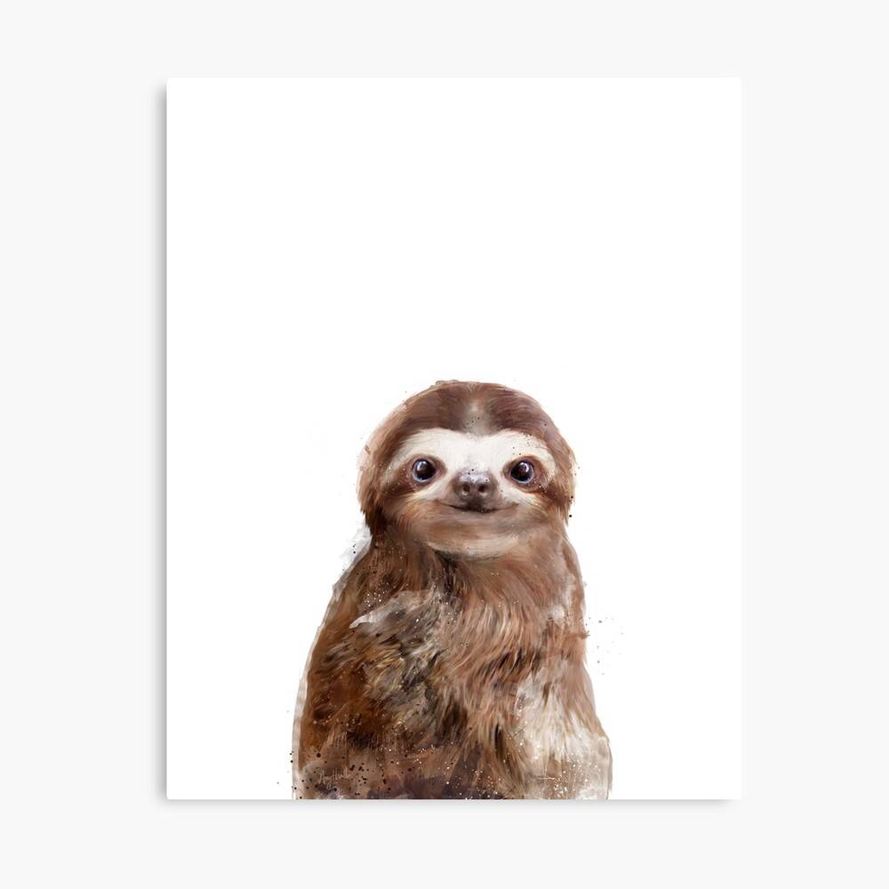 Little Sloth Sloths Baby Animal – Poster - Canvas Print - Wooden ...