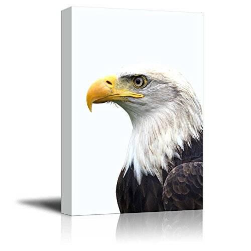 An Eagle - Giclee Print Gallery Wrap Modern Home Decor – Poster ...