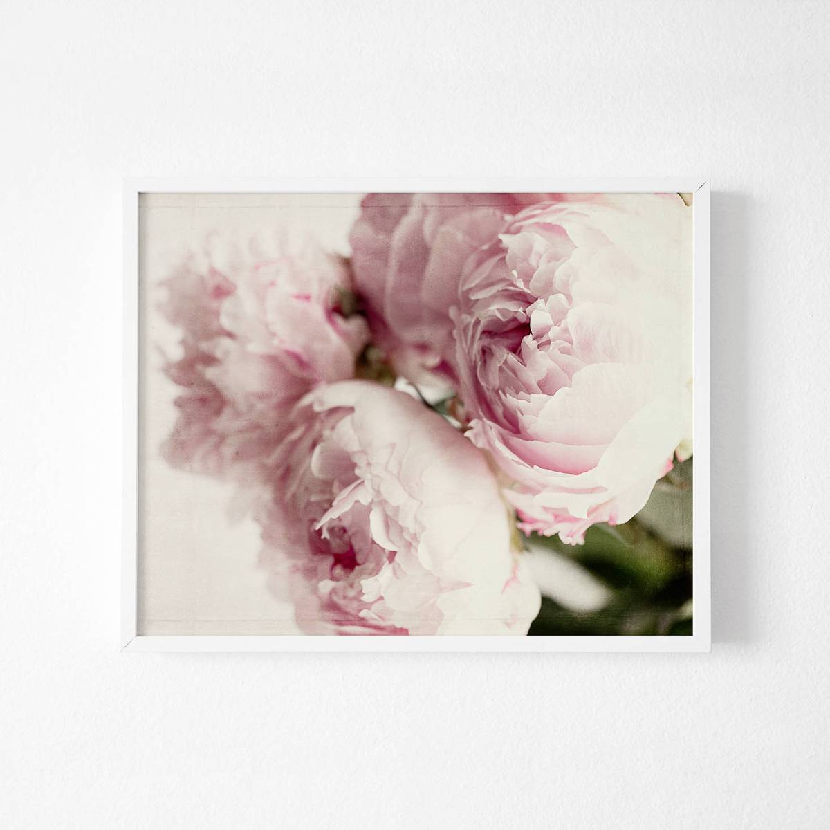 Shabby Chic Decor, Peony Print, Pink Flower Photograph, French Country ...