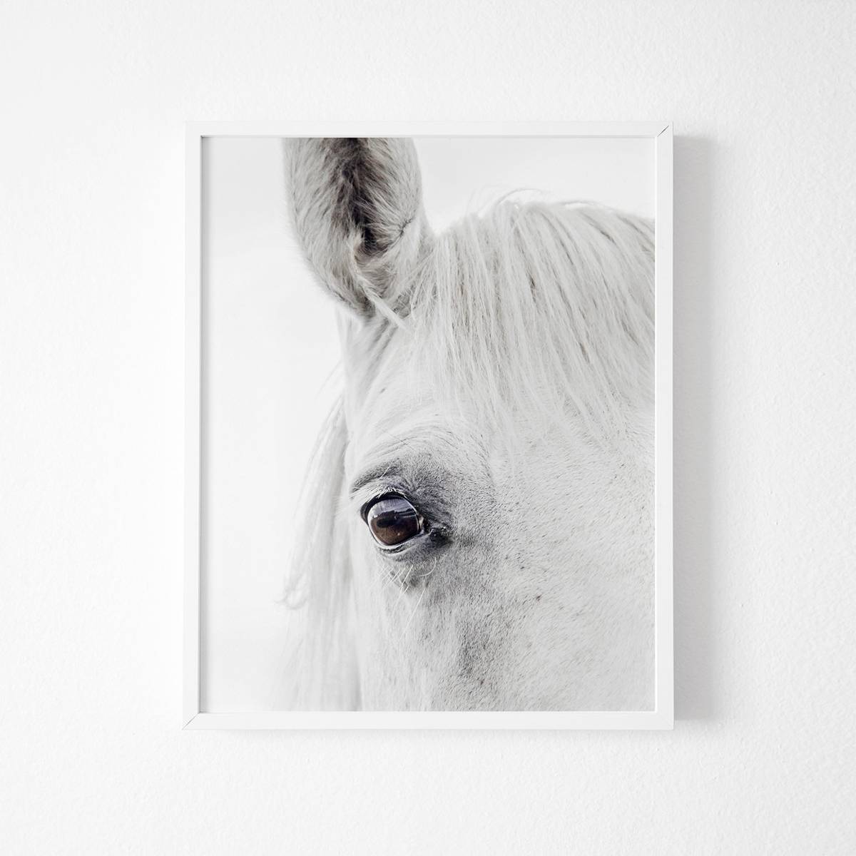 Horse Photography, Horse Print, White Horse, Large Print, Horse ...